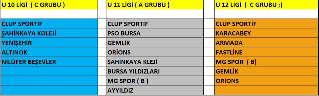 Bursa taekwondo kursu, Bursa cimnastik kursu,Bursa Pilates kursu, bursa voleybol kursu, bursa basketbol kursu
