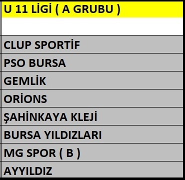 bursa taekwondo okulu, Bursa Pilates okulu, Bursa Voleybol okulu, Bursa Baketbol, Bursa cimnastik, Bursa basketbol okulu, bursa voleybol okulu