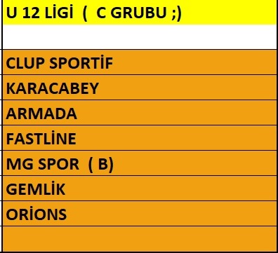 Voleybol, eğitimi, Bursa Baketbol eğitimi,, Bursa cimnastik eğitimi,, bursa taekwondo eğitimi, bursa pilates eğitimi