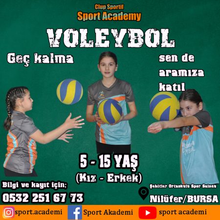 Bursa nilüfer voleybol kursu